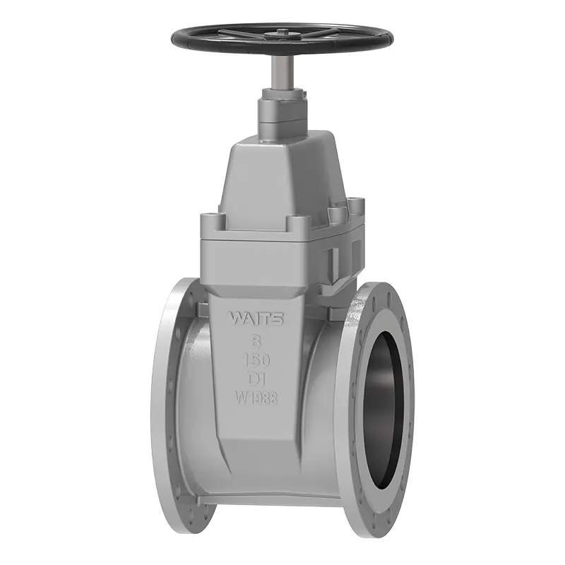 flange end لچکدار سیٹ گیٹ والو